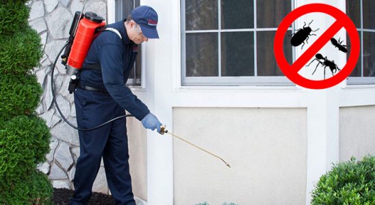 Atkaracalar Akrep İlaçlama böcek ilaçlama ve haşere kontrolü — ilaclama-tr.com
